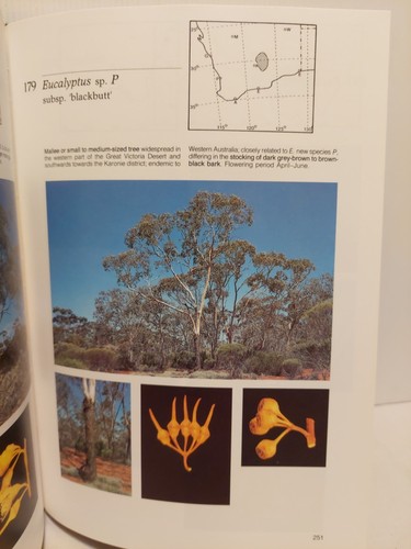 Field Guide to Eucalypts Volume 2, Brooker & Kleinig Hardcover Book - Picture 16 of 20