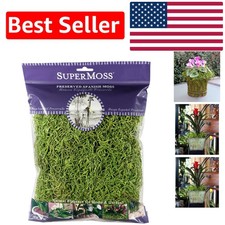 Long-Lasting Preserved Spanish Moss - Ideal for Create Beautiful Arrangements