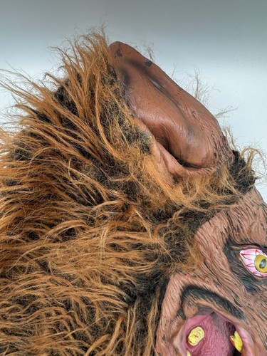 Halloween Rubber Latex Wolf Mask Werewolf Full Head Open Mouth Teeth Fur Scary - Bild 3 von 8