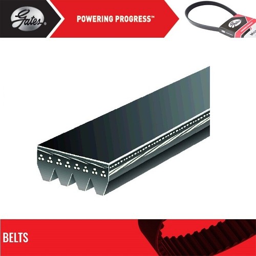 GATES OE Micro-V Belt for 1991-1993 EAGLE 2000 GTX  L4-2.0L - Picture 2 of 7