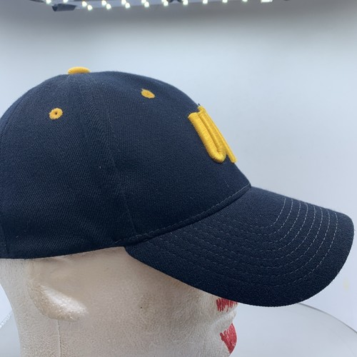 UMD Duluth Bulldogs Hat Cap Black M-L Stretch University of Minnesota Zephyr - Picture 3 of 13