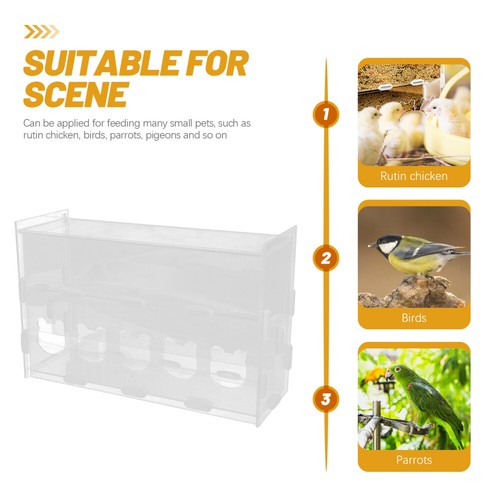 Rutin Chicken Automatic Food Feeder vente Acrylic Parrot Bird Feeder Clear Food