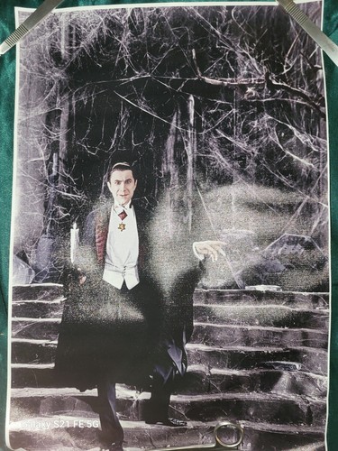 12x18 CANVAS PRINT: LUGOSI DRACULA ON CASTLE STEPS