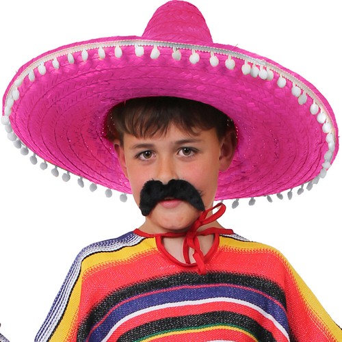CHILDS HATS ACCESSORIES PHOTOBOOTH PROPS WORLD BOOK DAY KIDS FANCY DRESS LOT - Picture 11 of 24