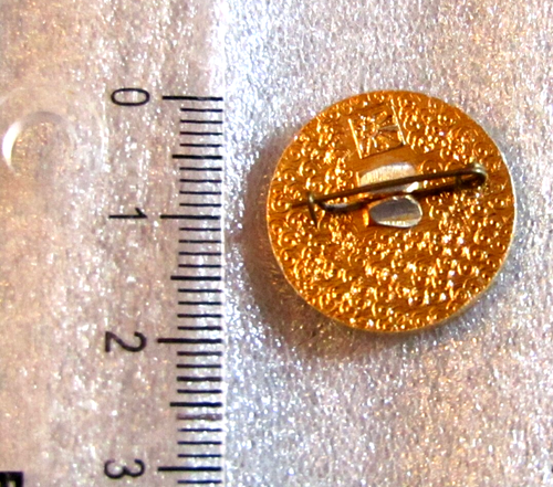 Pin Insignia La Comunidad Judía de la República de Moldavia Chisinau Judaica - Imagen 4 de 4
