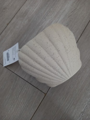 NEXT Natural Sea Shell Nautical Toothbrush Tidy Holder Bathroom Accessories - Picture 2 of 3