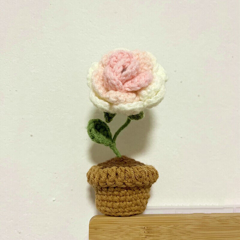 Picture 15 of 27
