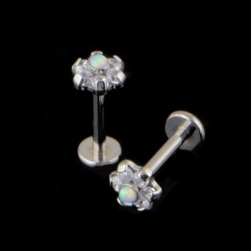 16g Titanio 5mm FLOR Transparente Cartílago Tragus Labret Hélice Adelante Pendiente Perno - Imagen 1 de 2