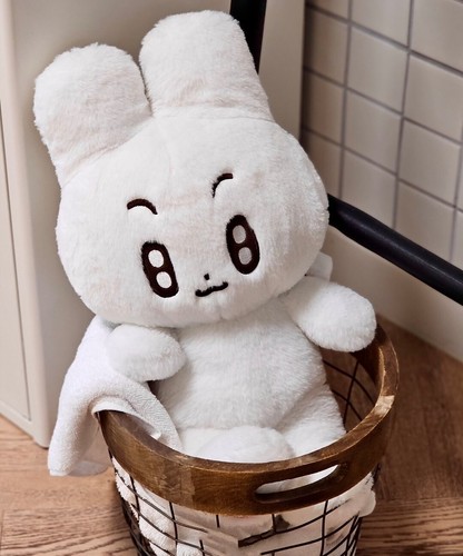 40CM Kpop TXT Yeonjun Beomkyu Plush Doll Cartoon Figure Soobin BEOMGYU Toy Gift - Picture 16 of 24
