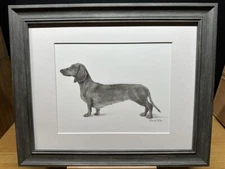 Drawing of a Red Standard Dachshund Dog Female Graphite Pencil Sketch Picture