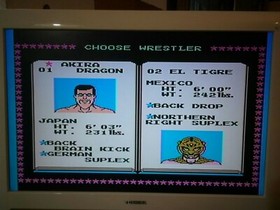 Tecmo World Wrestling, (Nintendo, Nes) Videojuego e Instrucciones