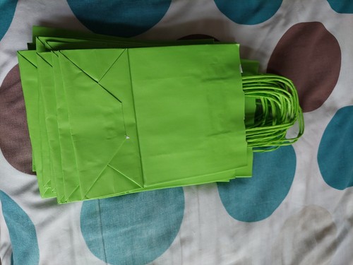 15 einfache kleine Geschenktüten aus grünem Papier - Bild 1 von 4