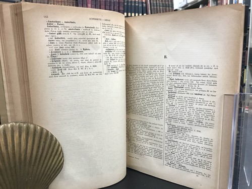 1885 Hoch und Niederdeutsches Wörterbuch - Diefenbach, Wülcker German Dictionary - Picture 6 of 10