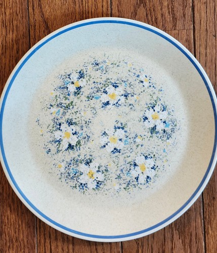 4-Temperware Lenox Tautropfen 10 3/8" Essteller eingestellt Gänseblümchen Vintage 70er - Bild 5 von 9