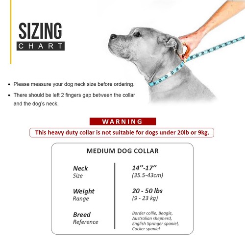 4" Extra Wide Tactical Dog Collar for Medium Breeds – Heavy-Duty 1000D Nylon,... - Picture 6 of 9