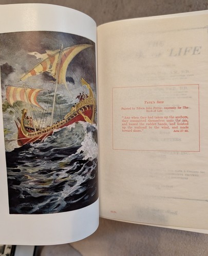 Libro de la vida vintage coleccionable 1946 impresión 7 libros - Imagen 5 de 7