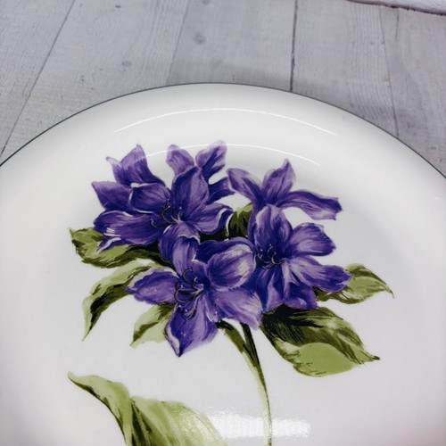 Vintage Tabletops Unlimited GARDEN DELIGHTS Floral Oven Safe Dinner Plates Set 4 - Picture 17 of 19