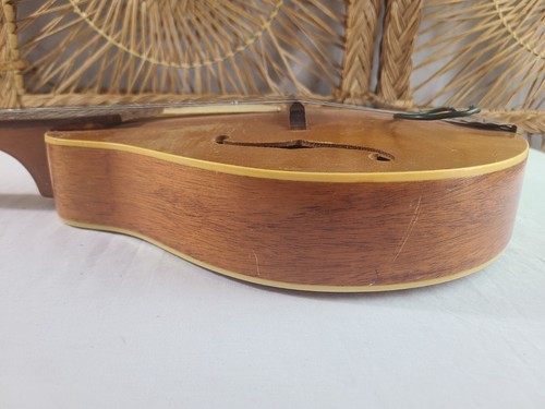 Vintage 1950's Silvertone Mandolin w/ Case - Parts/Repair - Picture 8 of 19
