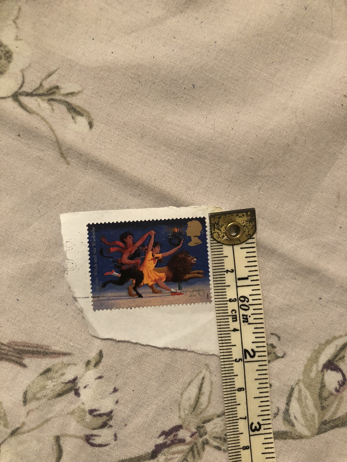 Picture 5 of 5