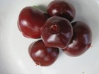 Bild 6 von 10