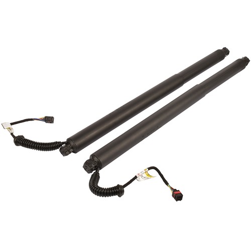 Rear LH + RH Power Lift Cylinder Struts 90560-5AA1A For Nissan Murano 15-19 3.5L - Picture 3 of 7