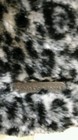 Bild 2 von 8