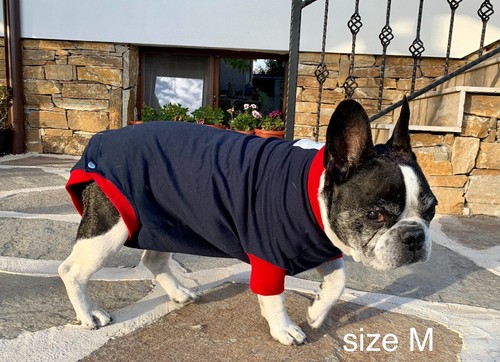 Schutzbody für Hunde nach der OP, Hunde OP Body, Beruhigungsshirt  div. Größen - Bild 6 von 20