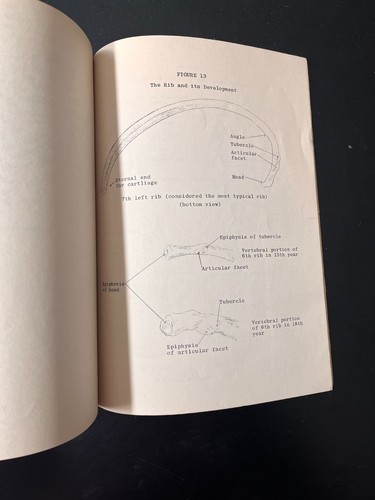 "Field Handbook on the Human Skeleton" R.F.G. Spier University of Missouri 1950s - Picture 6 of 6
