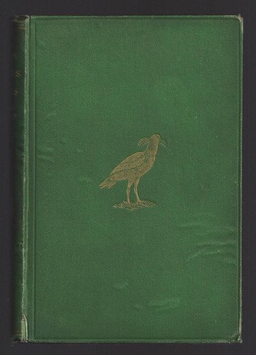 ALEXANDER W M CLARK KENNEDY Birds of Berkshire & Buckinghamshire 1868 First - Picture 1 of 6