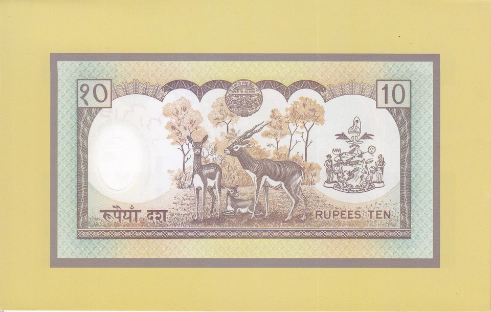 Nepal 10 Rupees ND 2002 P 45 Polymer UNC Commemorative With Folder - Image 4 of 4
