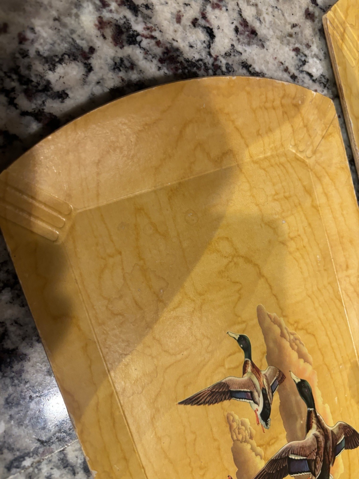 Picture 5 of 14