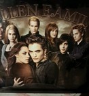 Bild 7 von 11