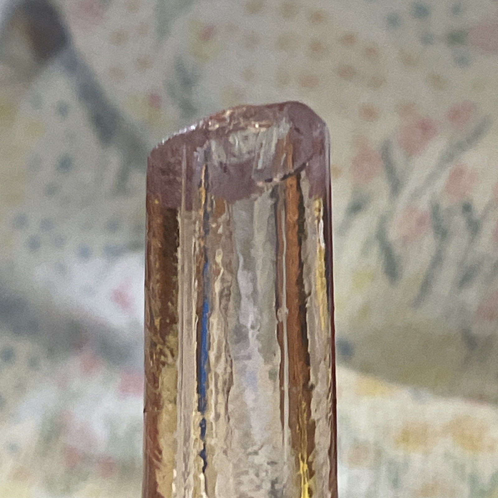 Picture 5 of 24