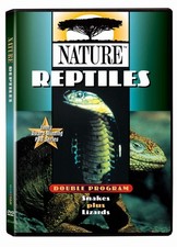 Nature - Reptiles