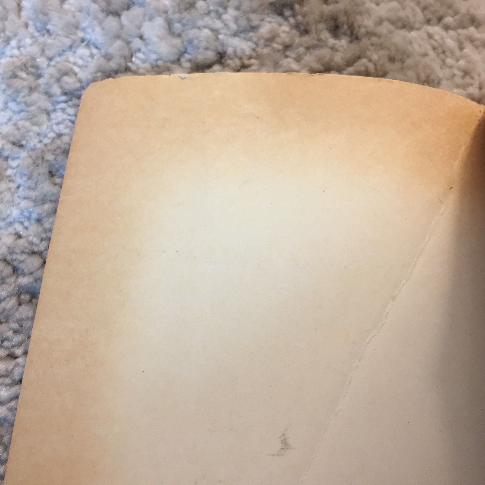 Picture 10 of 19
