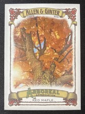 2021 Topps Allen & Ginter #AA-5 Red Maple Arboreal Appreciation Tree
