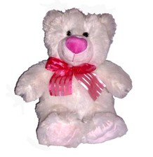 Kids of America Teddy Bear White 15in Plush Pink Heart Nose I Love Your Kisses