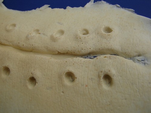 JEEPERS CREEPERS 1 PRODUCTION MADE SHEPARDSON STICHED CHEST SKIN APPLIANCE PROP - Foto 15 di 22