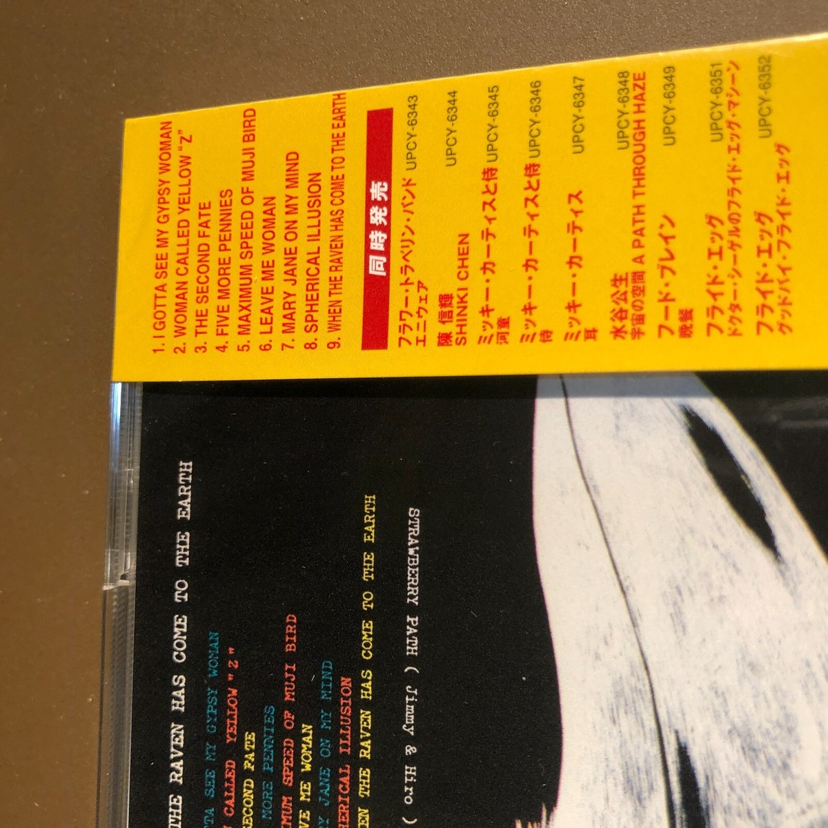 STRAWBERRY PATH When The Raven Has Come To The Earth CD