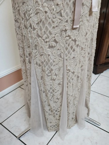 NWT CANDALITE Beige Metallic Lace Tulle Trim Cap Sleeve Long Party Dress Sz 1X - Picture 8 of 14