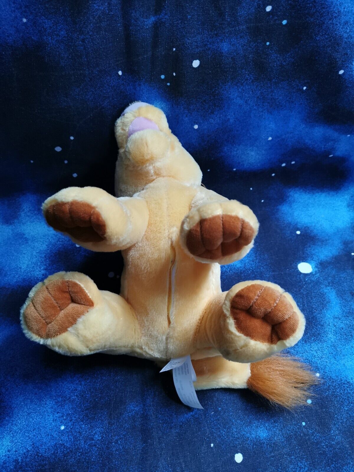 Bild 8 von 12