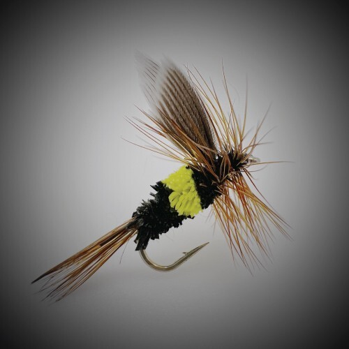 6 Pc - Bee Fly Size #14 McGinty Style Wet Fly Fishing Flies for Panfish Trout B3 - Picture 2 of 6