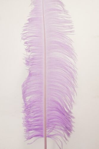 ESPADAS DE AVESTRUZ 20-30" Plumas de Pluma MUCHOS COLORES; Sombreros/Halloween/Centro de pieza - Imagen 18 de 30