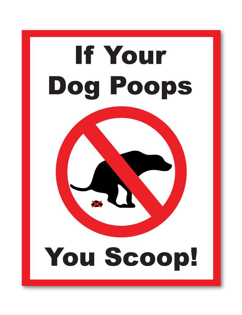 IF YOUR DOG POOPS YOU SCOOP SELF ADHESIVE STICKERS SAFETY SIGNS