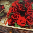 Bild 5 von 12