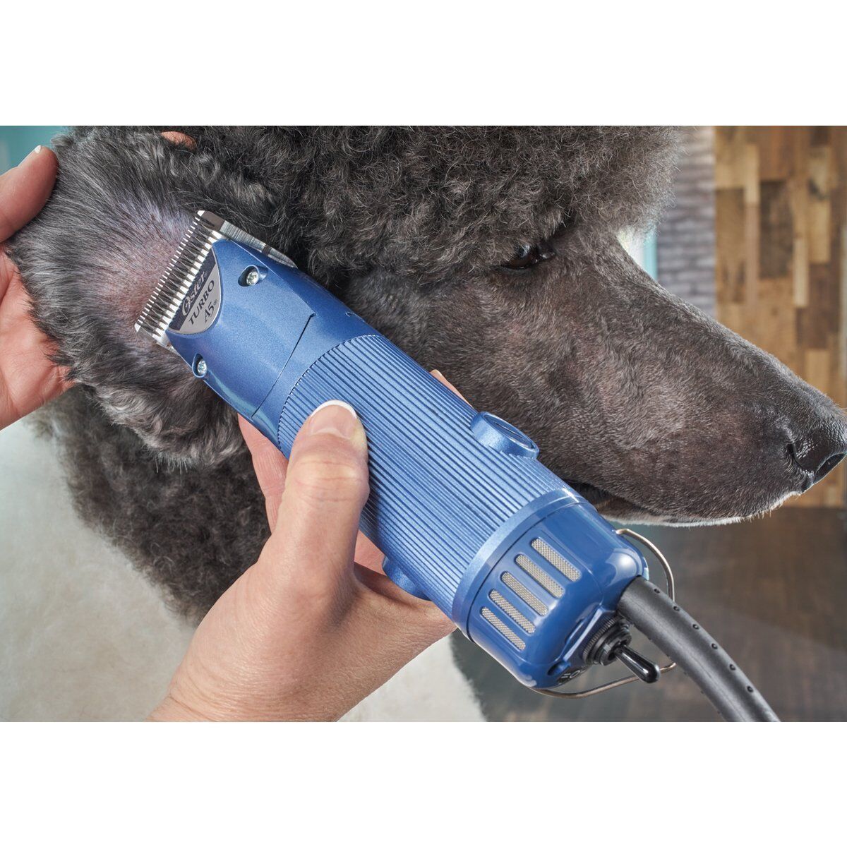 OSTER Turbo A5 2 Speed Clipper 10 10 WIDE Blade Case DVD Comb Dog Sheep Horse eBay