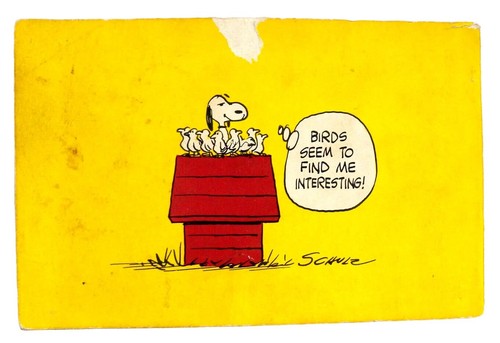 Peanuts Every Sunday by Charles M. Schulz (1964,Paperback) 4th Printing - Picture 2 of 6
