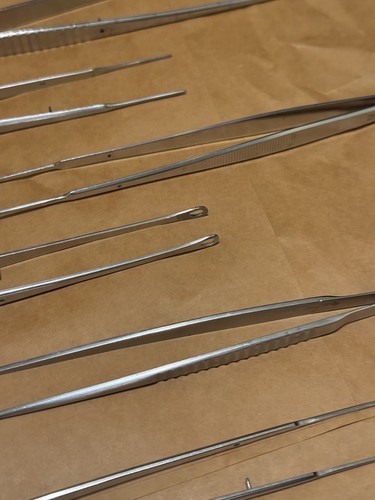 Medical Surgical Stainless Steel Forceps Lot 067 Surgical Instruments - Picture 6 of 11