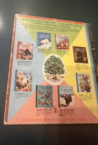 Little Golden Book Dinosaurs 1959 Fair Condition - Picture 7 of 7