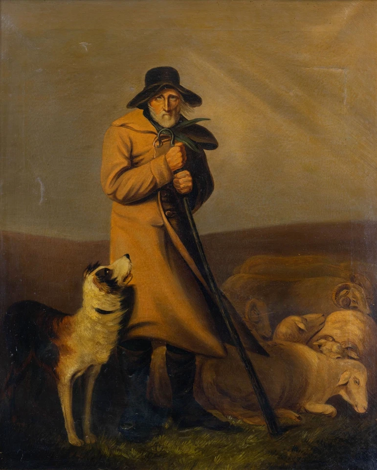 Viejo, perro Foto 3 de 4